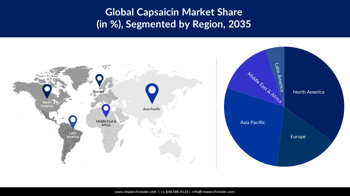 Capsaicin Market Size